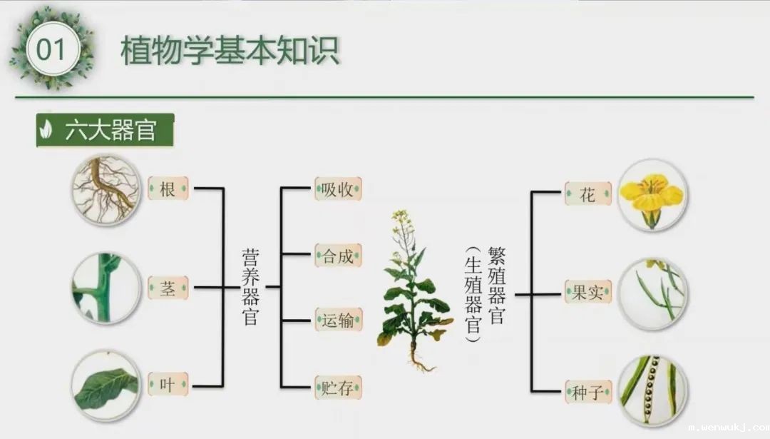 1650963220137766.jpg 微信图片_20220426140816.jpg