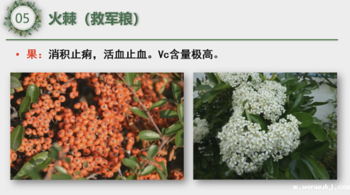 1650963268150282.png 微信图片_20220426140827.png