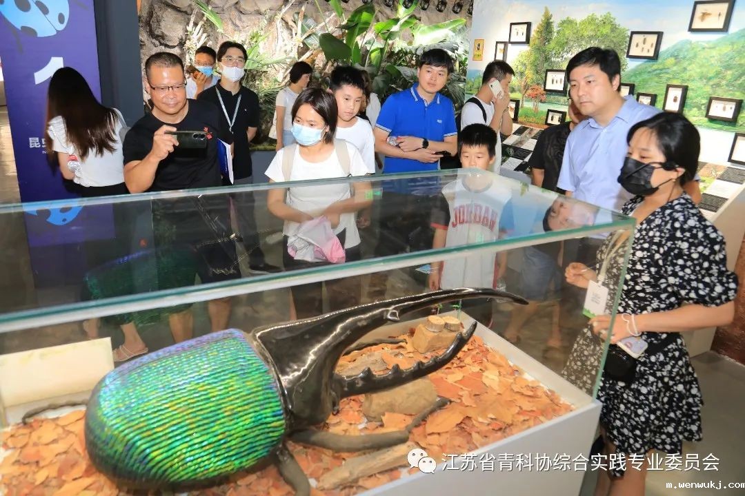 1660803020682752.jpg 8.jpg