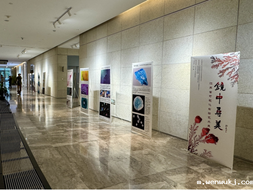 1733389593369339.png image.png