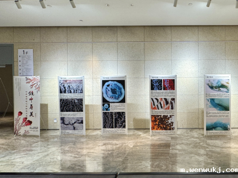 1733389610426636.png image.png