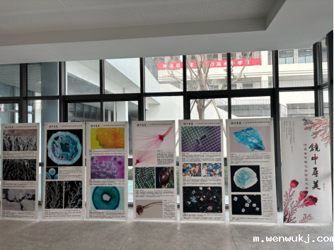 1733389618423606.png image.png