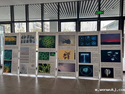 1733389624605327.png image.png